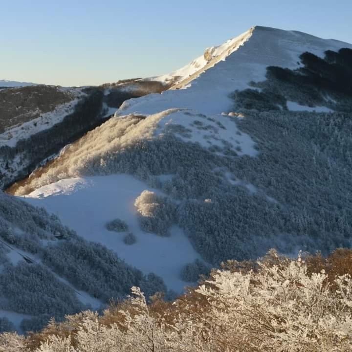 Villard De Lans 외부 사진