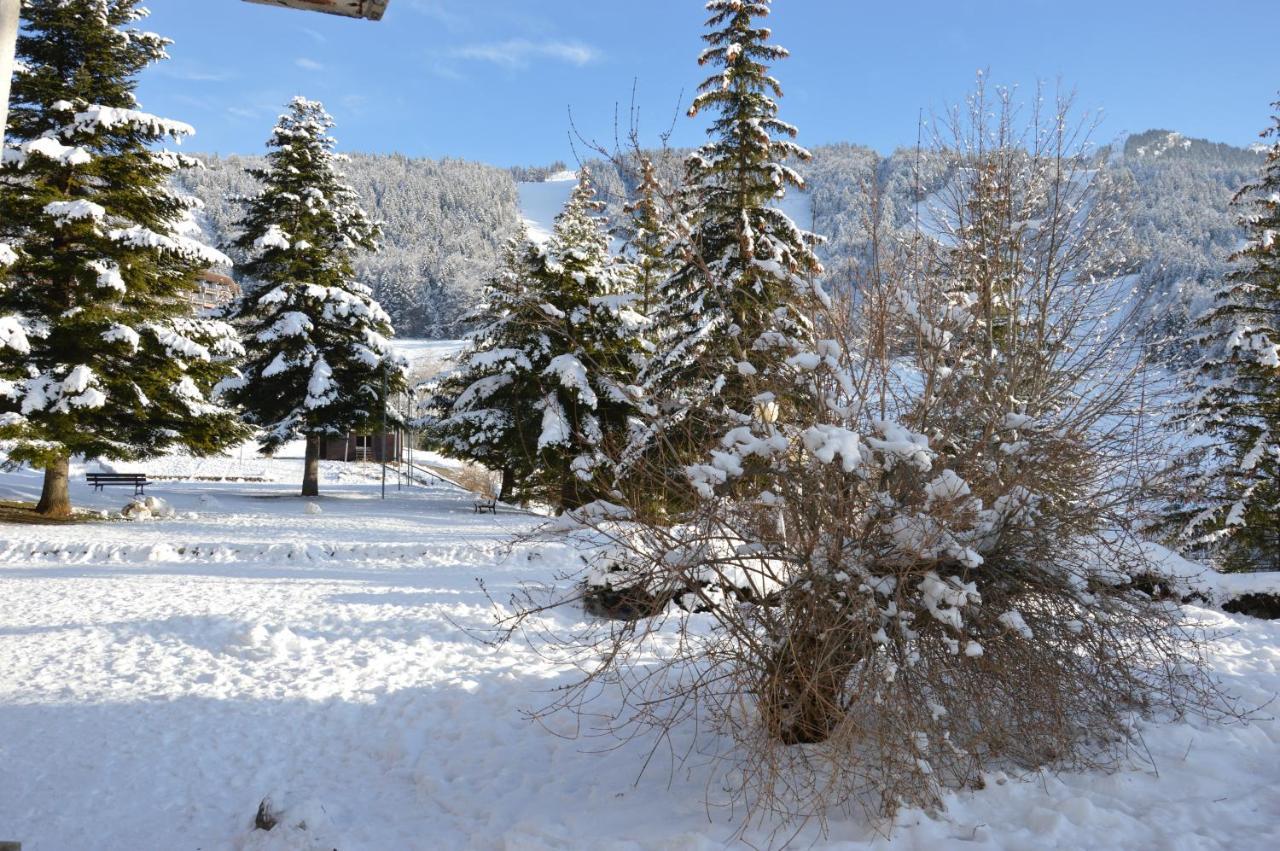 Villard De Lans 외부 사진